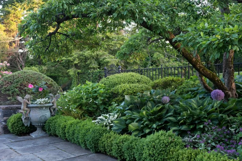 Garden photography from Stacy Bass' Gardens at First Light
