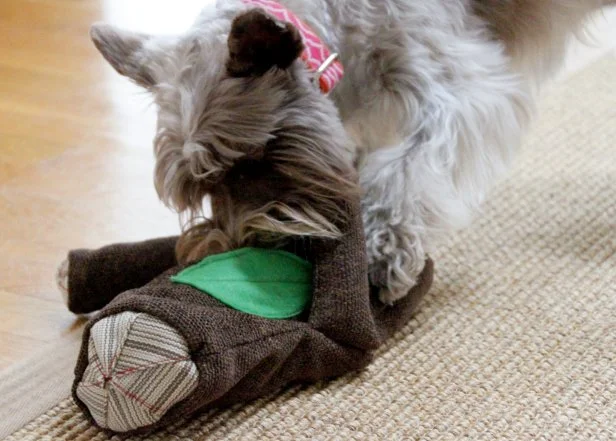 How to Make Homemade Dog Toys: Easy, Fun, and Budget-Friendly Ideas