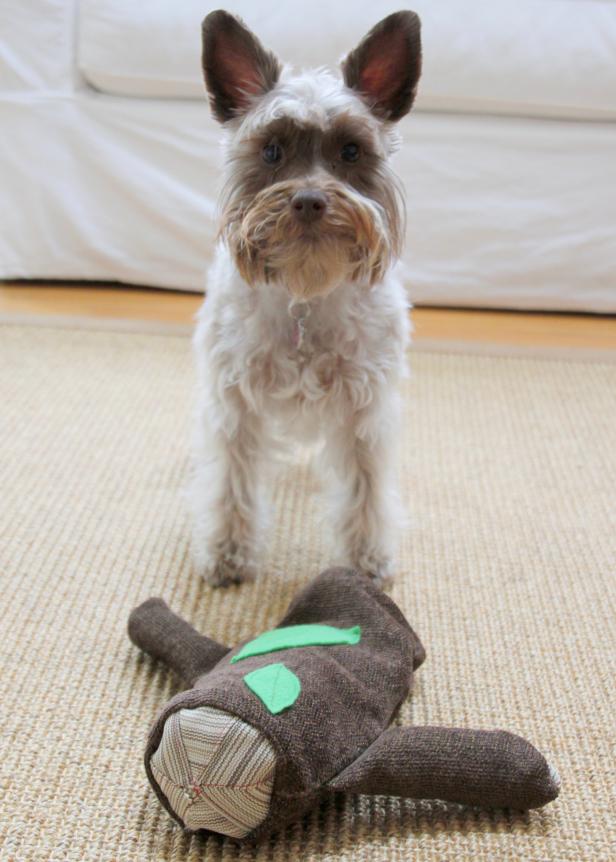 Learn how to sew this fabric log toy for your favorite furry pal.