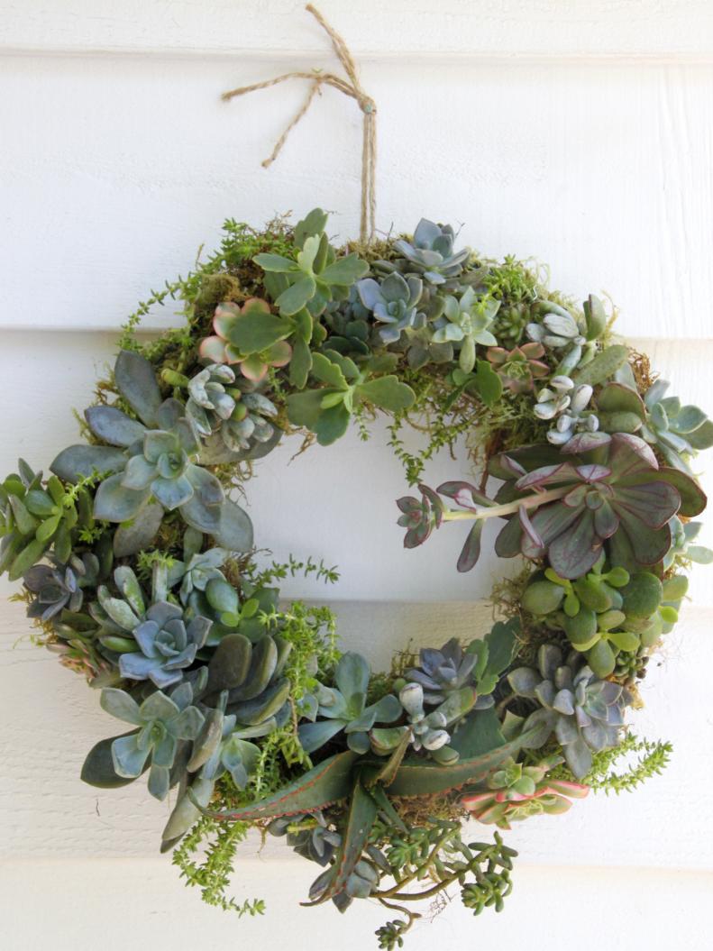 Learn how to create a lush succulent wreath with clippings.