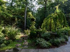 One of the Dunns' favorite garden rooms is the white garden, featuring not only white-flowering plants but also foliage that is gray or green and white variegated.