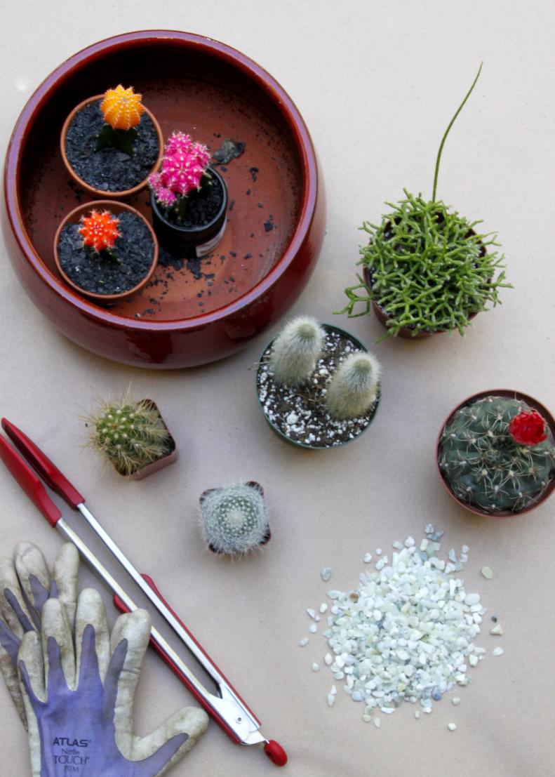 For this craft you will need: a planter/ assorted cacti/ cactus soil/ gardening gloves/ kitchen tongs/ small stones/ chopstick