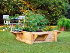 Raised Bed with Benches
