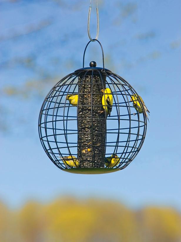 13 Feeders and Products to Solve Bird Feeding Problems HGTV