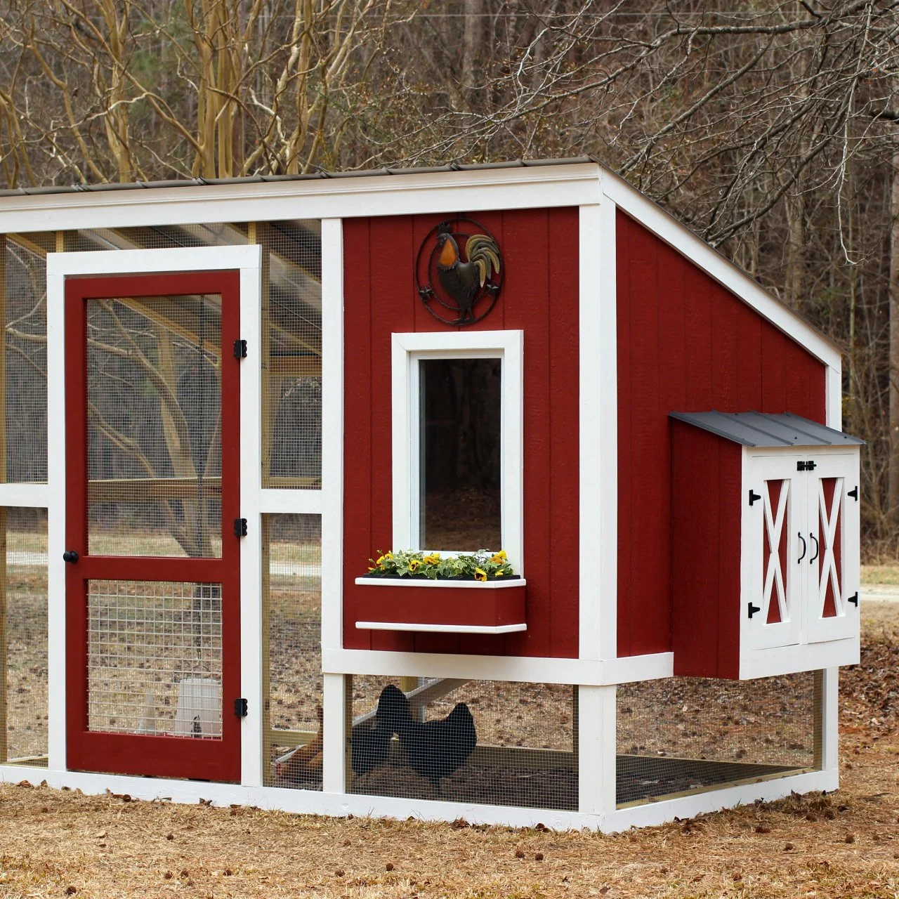 free-chicken-coop-plans-how-to-build-a-custom-chicken-coop-hgtv for Free Printable Chicken Coop Plans Free Chicken Coop Plans | How to Build a Custom Chicken Coop | HGTV for Free Printable Chicken Coop Plans