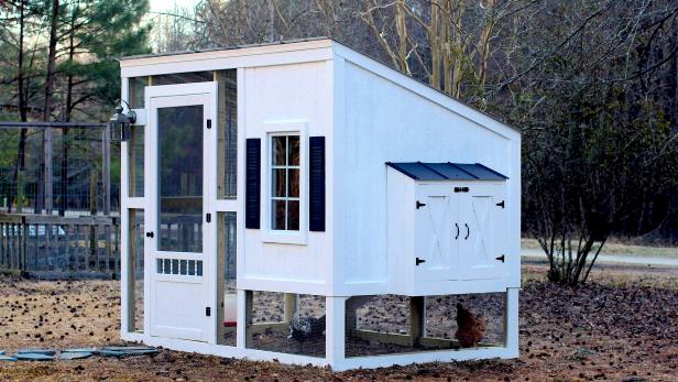 How To Build A Backyard Chicken Coop Hgtv