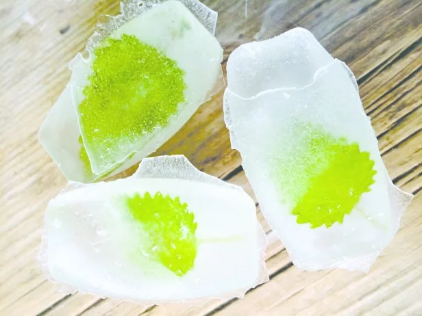 Lemon Balm in ice cubes
