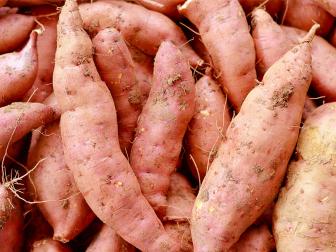 Sweet potatoes require a curing phase after harvest as well. Hold them at eighty-five degrees with high humidity for one to three weeks after harvest before moving them to cool storage. This process helps to heal the skin and greatly improves flavor.