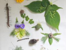 Have a little fun in the garden. Transform twigs, leaves, rocks, flowers and seeds from your garden into fun critters.