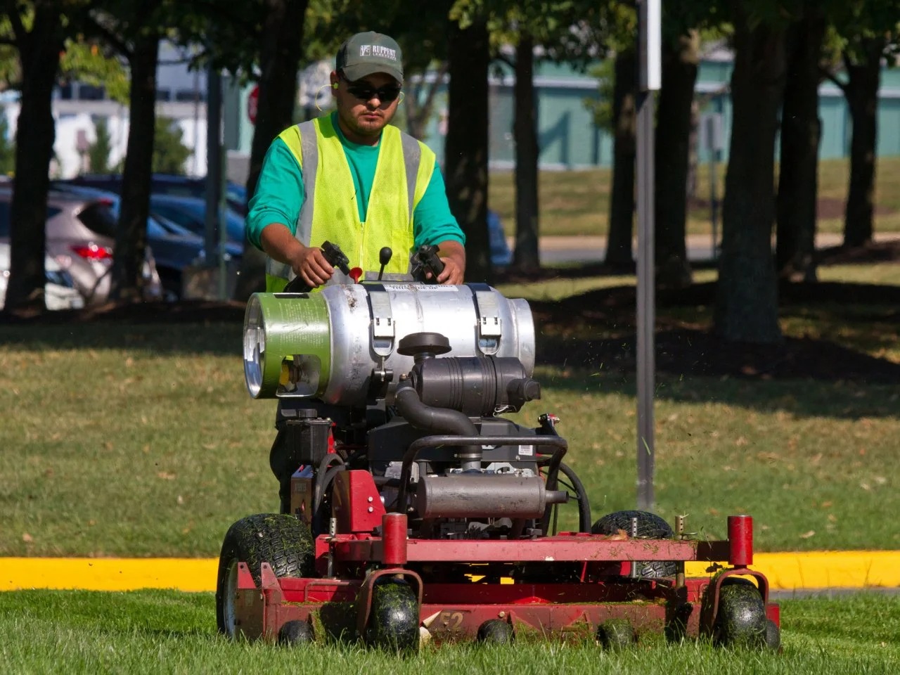 Mexican cutting grass sale