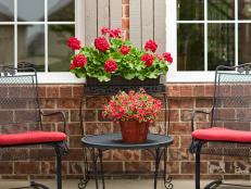 Geraniums in window box and million bells in container