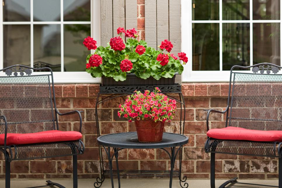 Geraniums in window box and million bells in container