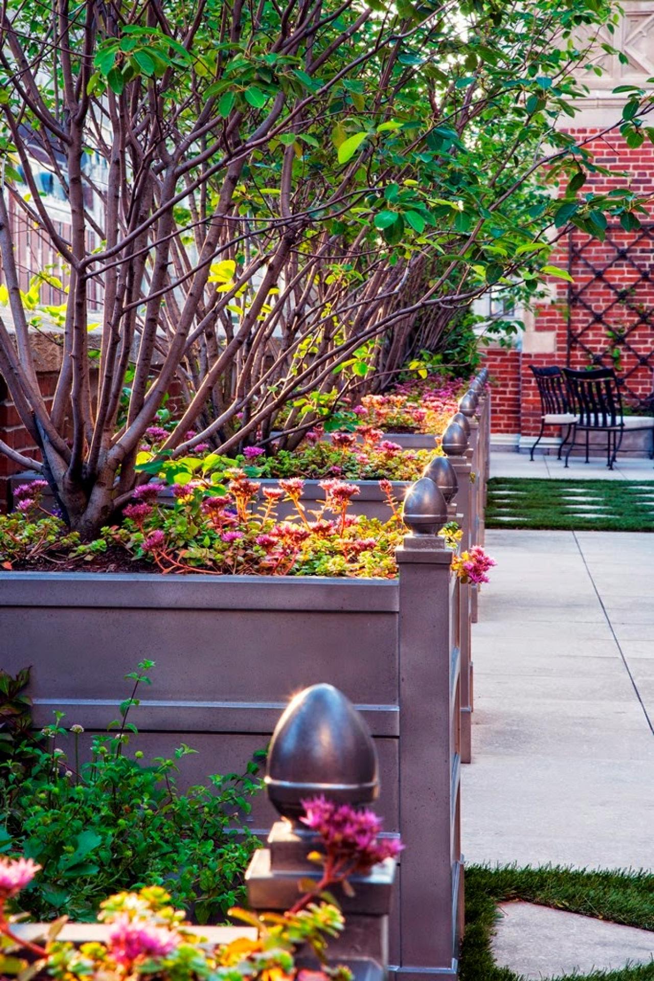 Chicago Rooftop Garden