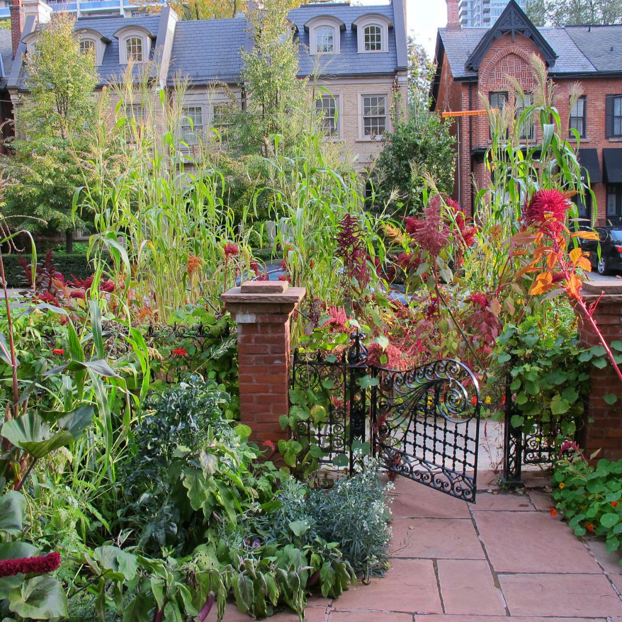 8 Urban Gardening Techniques You Need To Have A Beautiful City Garden