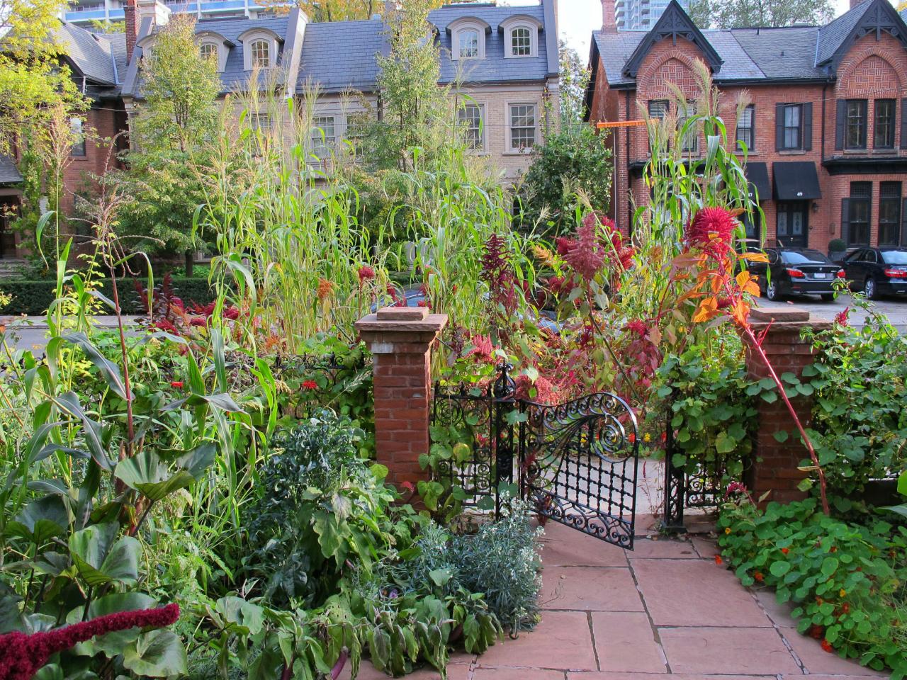 8 Urban Gardening Techniques You Need To Have A Beautiful City