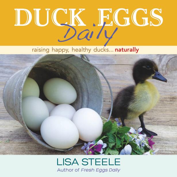 How Long Does It Take To Incubate and Hatch Duck Eggs?