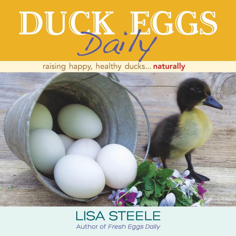 Duck Eggs Daily