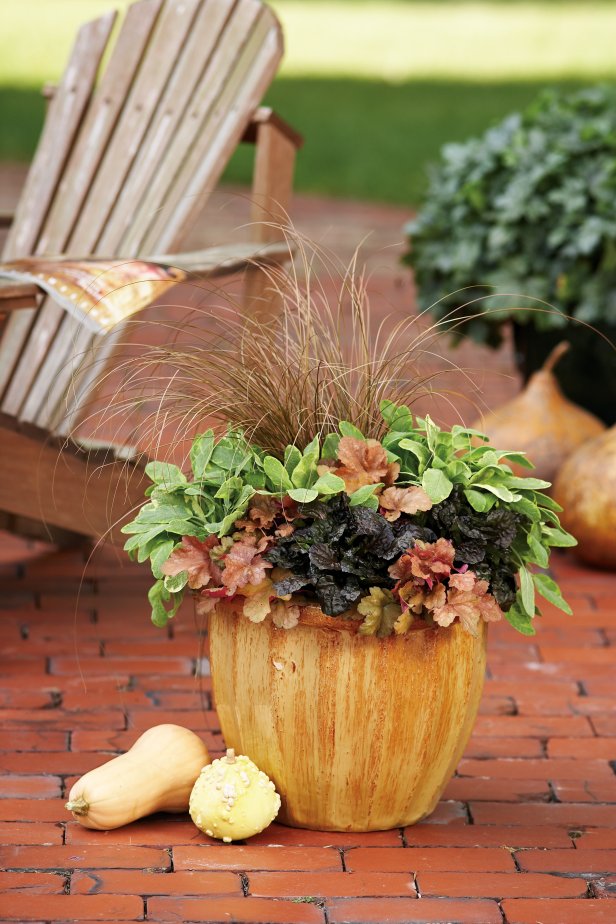 Colorful leaves in container garden