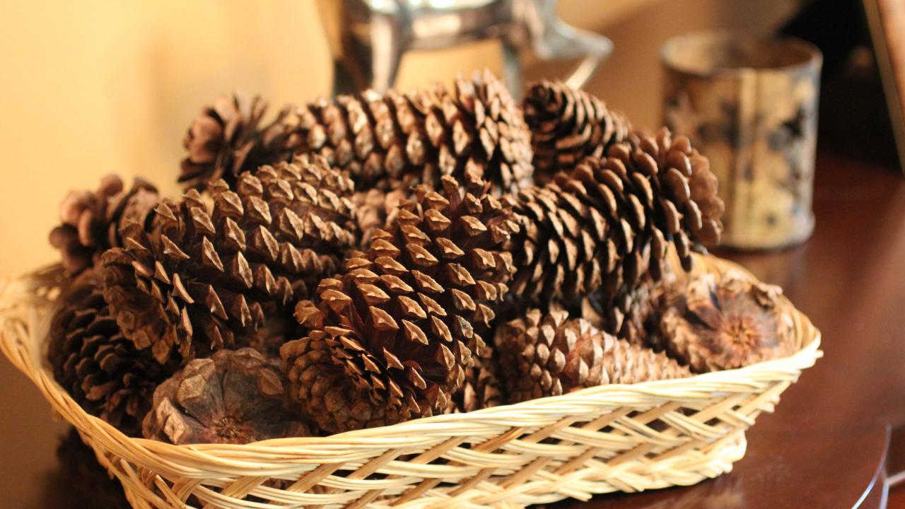 How to Make Scented Pinecones for the Christmas Home - Hilltop