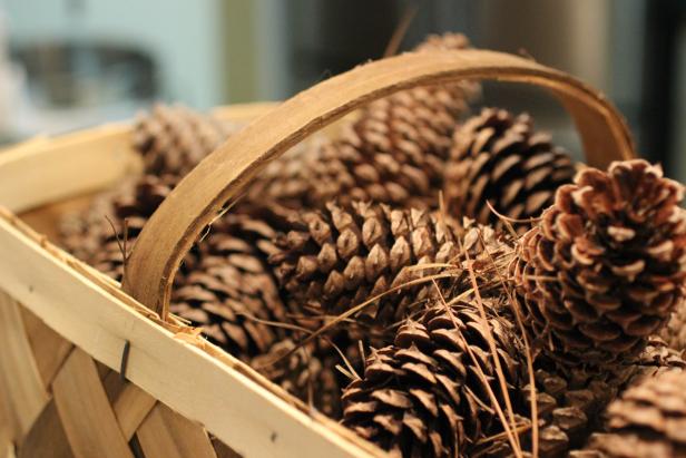 Cinnamon Scented Pine Cones - Simple Joy