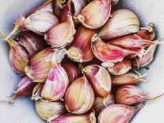Get expert advice on when to plant garlic, how to grow your own crop of garlic year after year and picking the right time to harvest garlic.