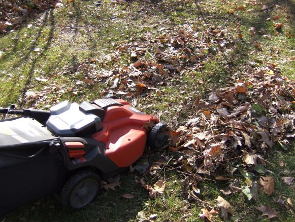 Mow fall leaves for compost