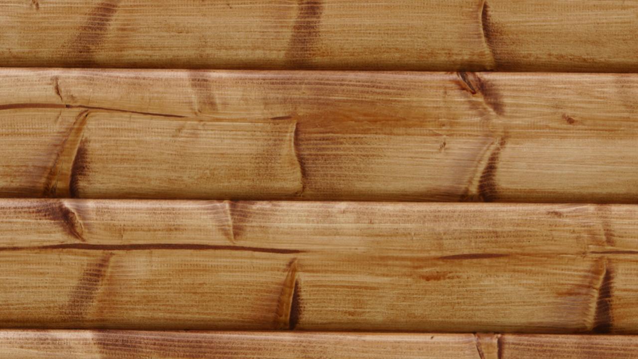 Bamboo Ceilings