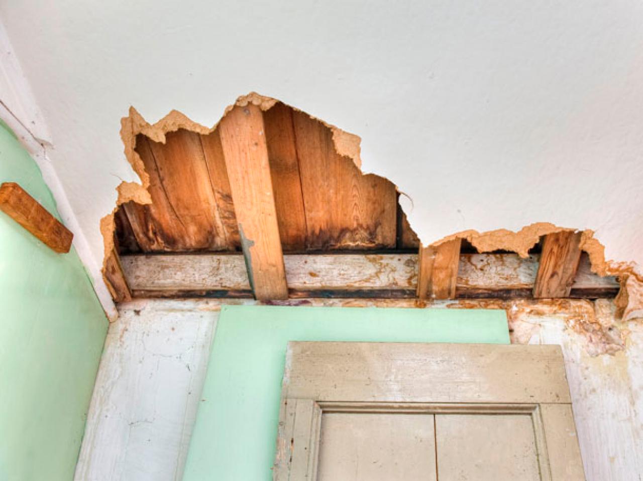 How To Remove Black Mold HGTV