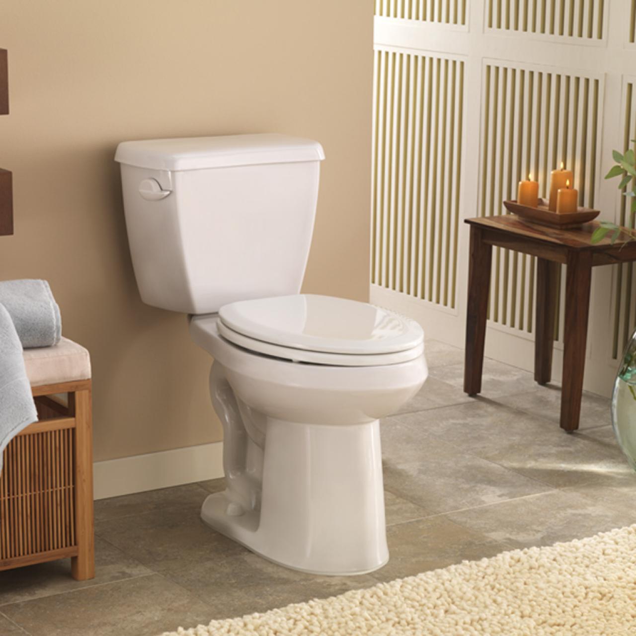 Choose the Right Toilet for Your Bathroom