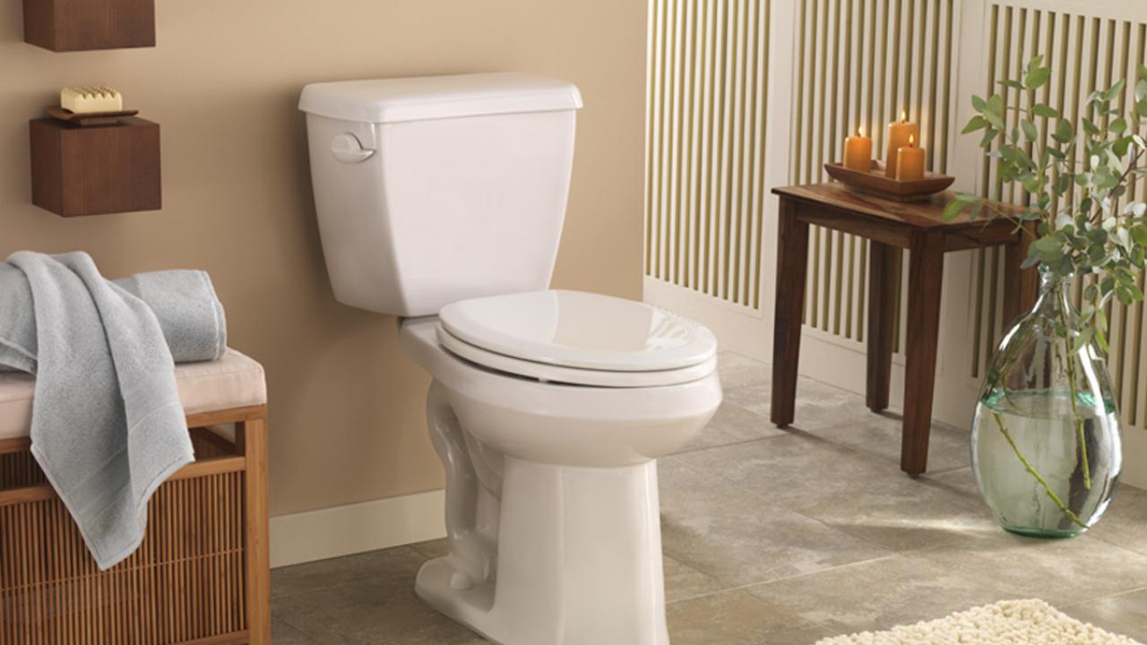 Reasons to Consider Buying a Bidet for Your Bathroom