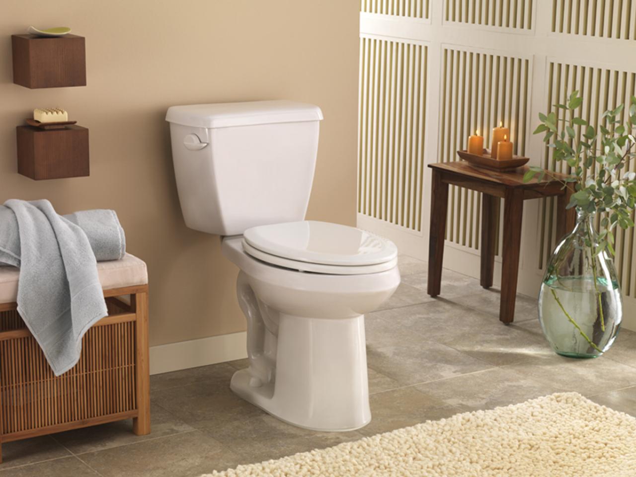 The Ultimate Guide to Buying the Best Toilet