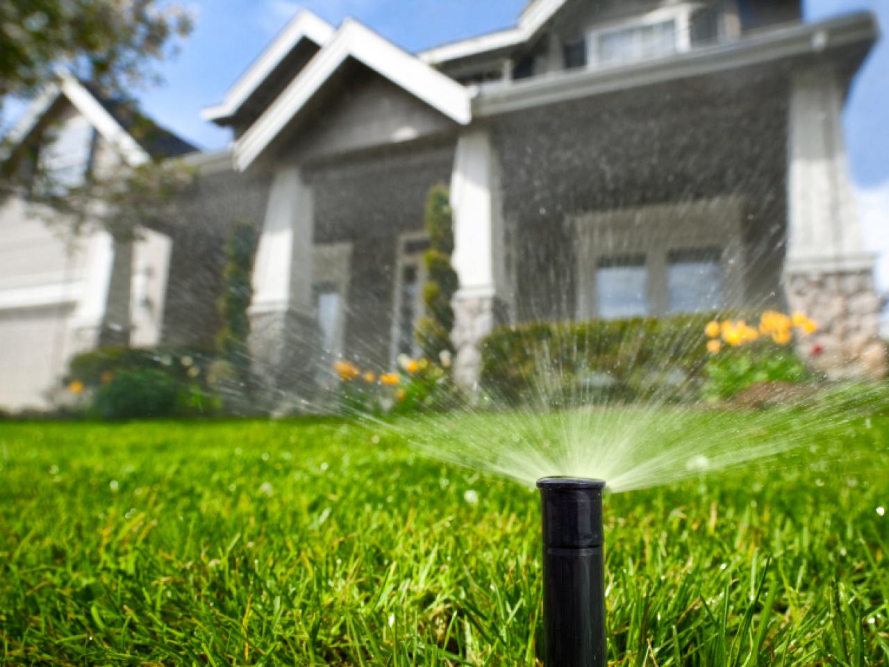 Choosing the Right Type of Sprinkler Head for Your Lawn