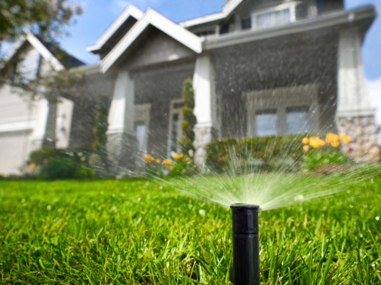 Choosing an Irrigation System | HGTV