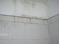 HGRM_detail-mold-on-tiled-wall_s4x3