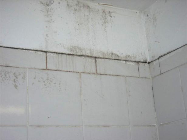 Bathroom Mold Issues - How To Keep Mold Off Of Bathroom Walls