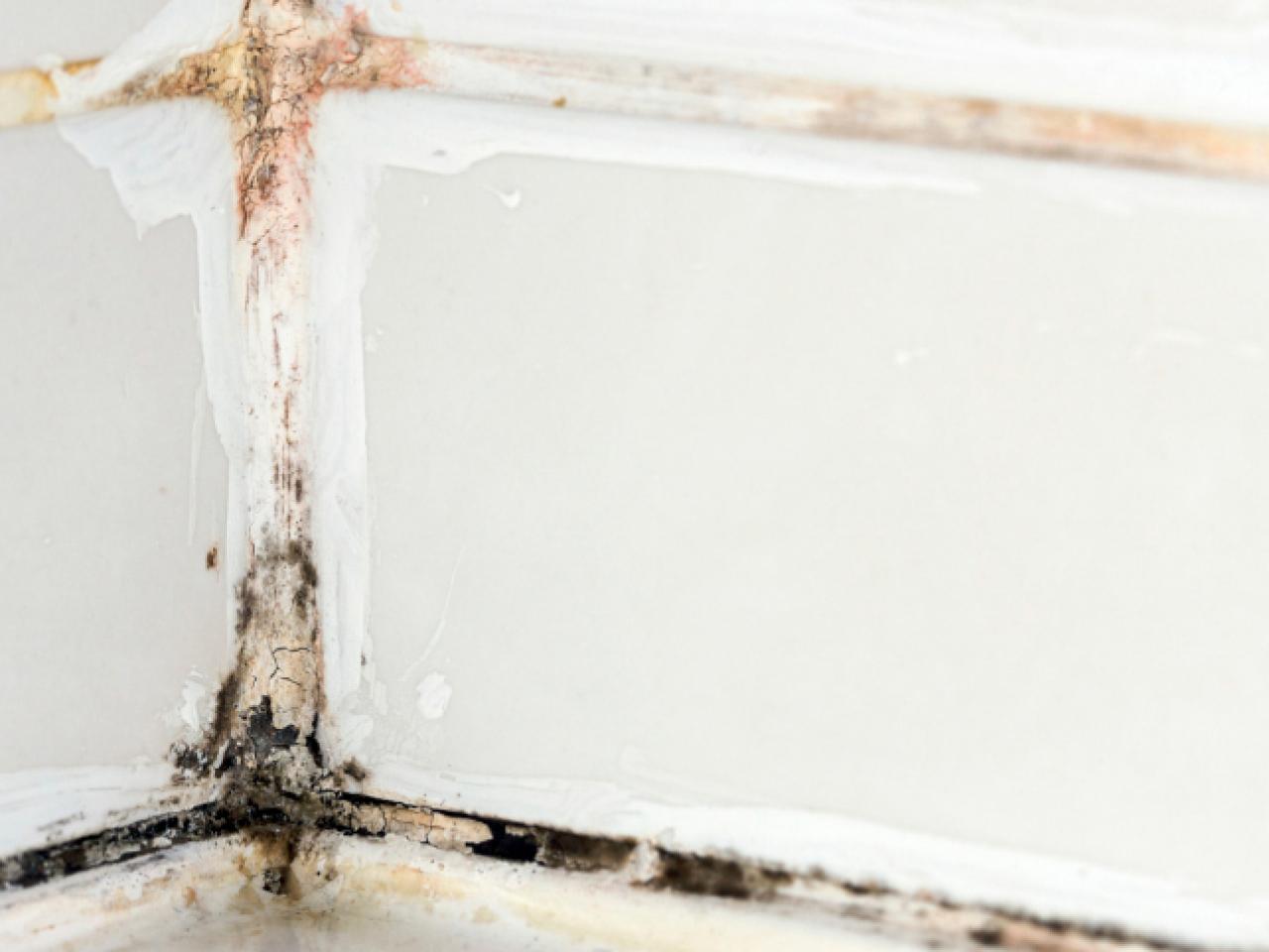 ceiling remove from to how fungus Mold Black to How  Remove HGTV