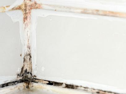 How To Remove Black Mold - What Removes Black Mould In Bathroom