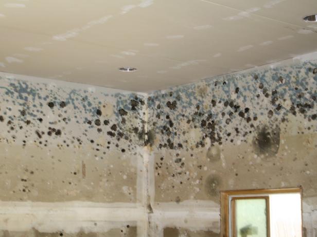 A detail shot of the corner of the room with mold spots.