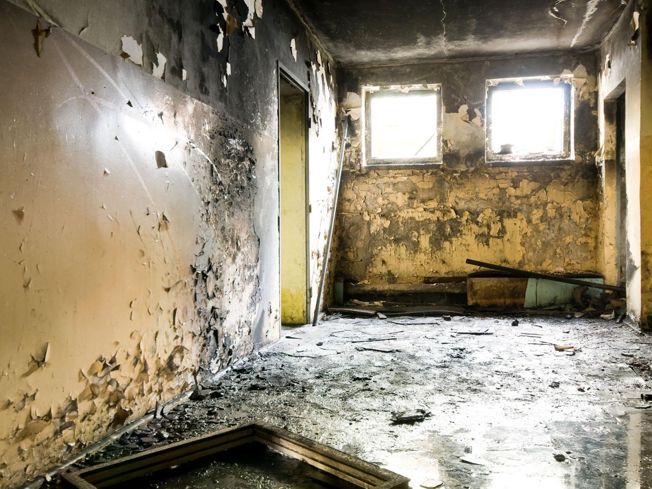 What is Black Mold?