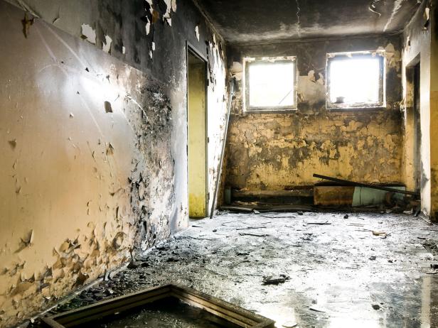 black mold symptoms and health effects | hgtv