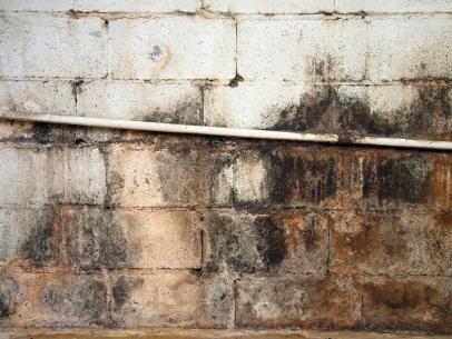 Mold In The Basement, How To Remove Mold From Concrete Block Basement Walls