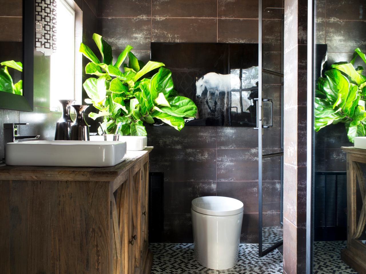 Beautiful and Fresh, These Are Plants That Are Suitable For Bathrooms