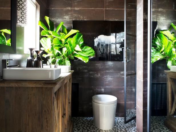 Decorate Your Bathroom With Plants