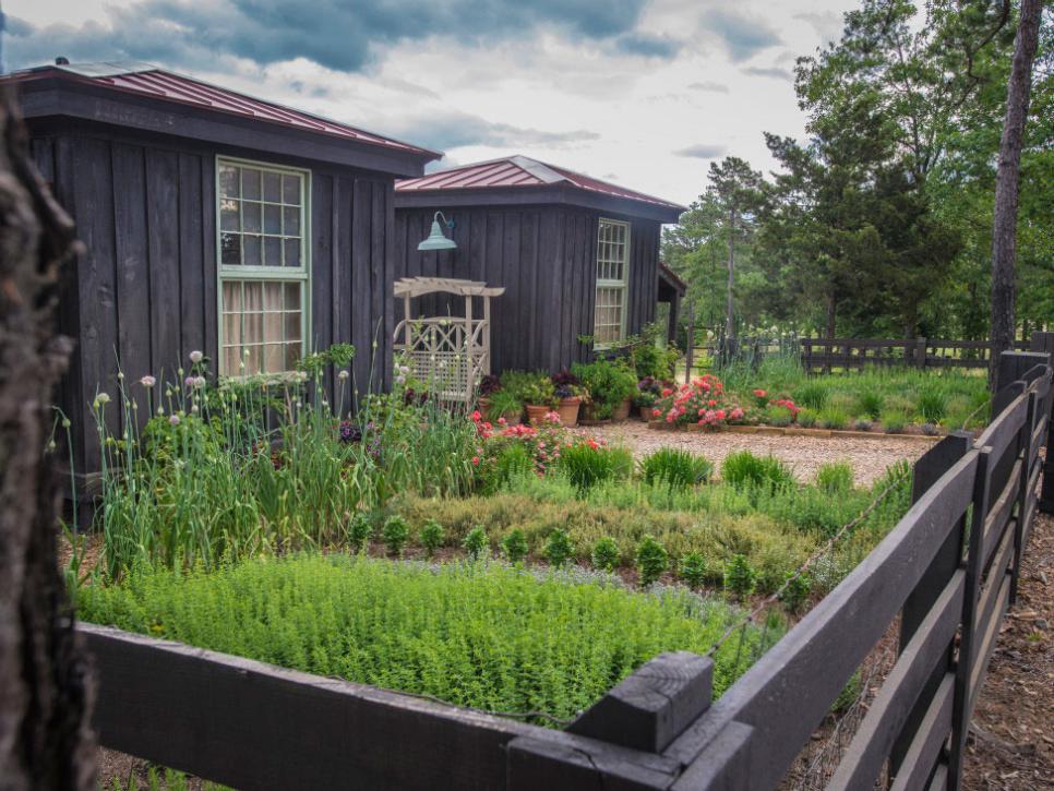 Edible Landscaping Isn’t That Hard !