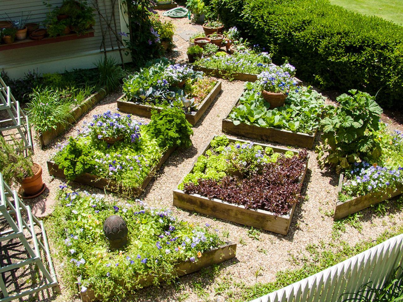 vegetable garden layouts