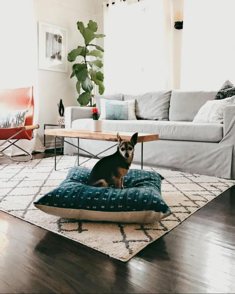 12 Stylish Dog Beds For National Puppy Day S Decorating 12 Stylish Dog Beds For National Puppy