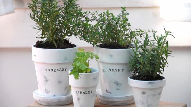 Custom Herb Pot DIY Holiday Gift for Neighbor or Real estate client