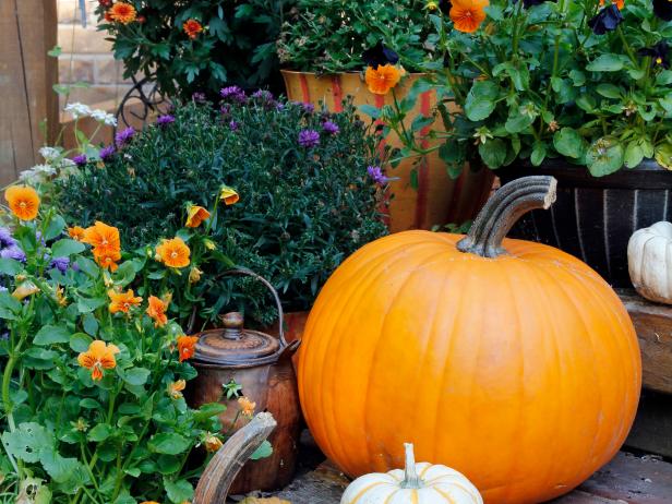 6 Simple Garden Projects to Tackle This Fall | HGTV's Decorating ...