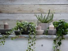 Candles and trailing plants in concrete pots arranged on ledge