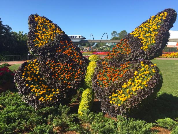Giant Butterfly Topiary